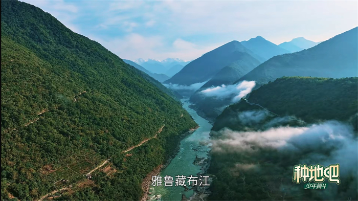 1778479352344468.png 图4.png