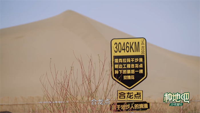 1778479357147506.png 图5.png