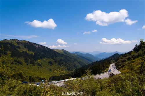 1660899545193585.jpg 202d-hyvnhqq2024781.jpg