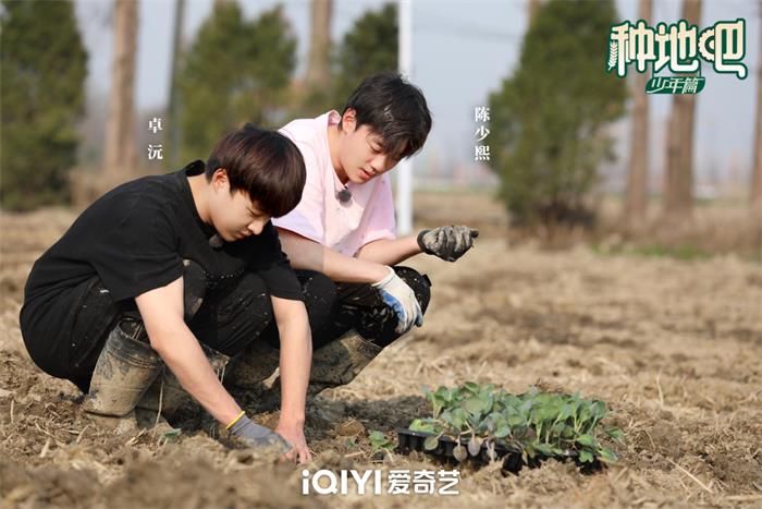 1682305309793939.jpg 种植组 卓沅 陈少熙.jpg