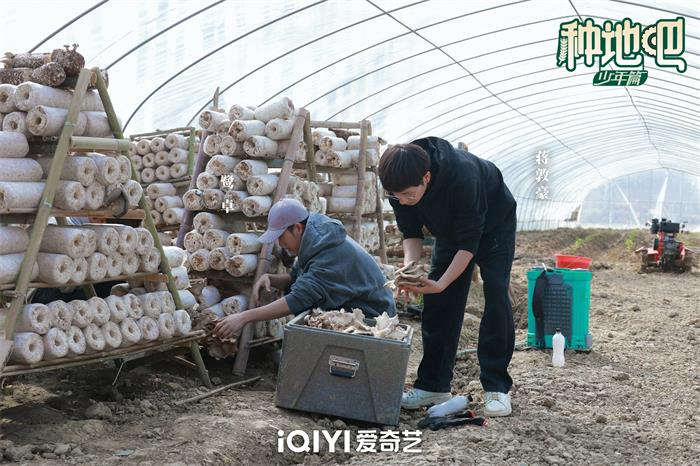 1684984715158682.jpg 鹭卓、蒋敦豪.jpg