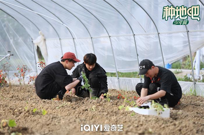 1687746974185630.jpg 鹭卓-王一珩-卓沅.jpg