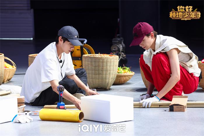 1763350109514826.jpg 3.jpg