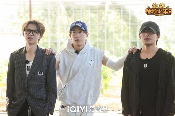 1764560409186234.jpg 2.jpg