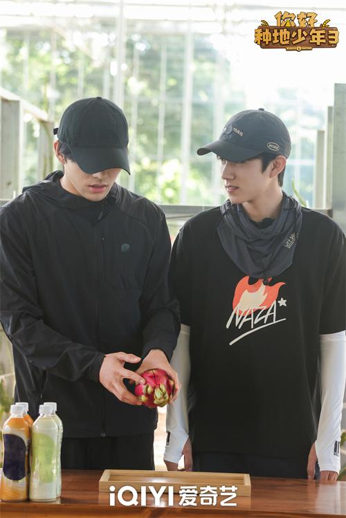 1764560418144075.jpg 4.jpg