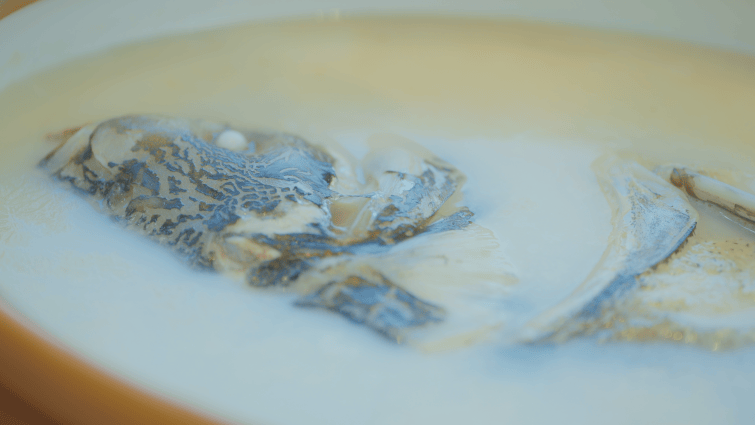 /Users/ouyangzicong/Downloads/鱼鱼鱼鱼.png鱼鱼鱼鱼